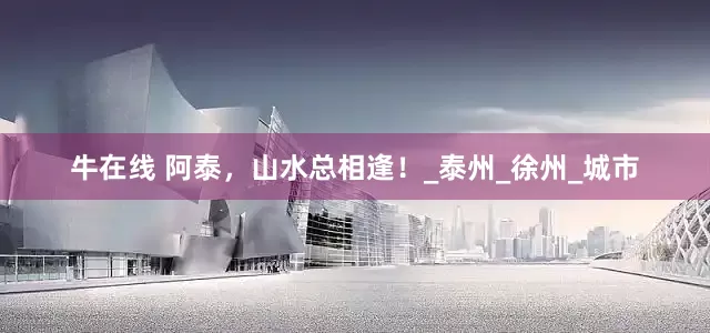 牛在线 阿泰，山水总相逢！_泰州_徐州_城市