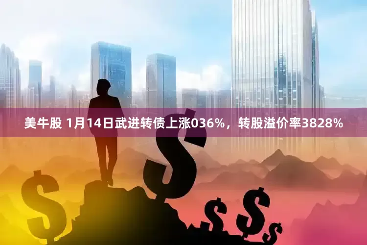 美牛股 1月14日武进转债上涨036%，转股溢价率3828%