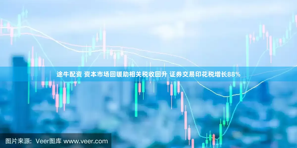 途牛配资 资本市场回暖助相关税收回升 证券交易印花税增长88%
